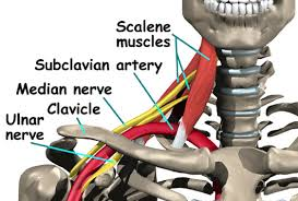 Experiencing Numbness in Your Arms? Your Scalenes Might Be the Culprit