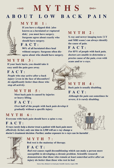 7 Myths About Low Back Pain
