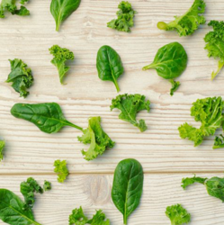 Fighting Neck and Back Pain with Good Food Choices