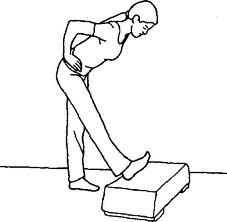 Standing Hamstring Stretch