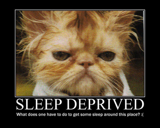 Get a good nights sleep to reduce back pain