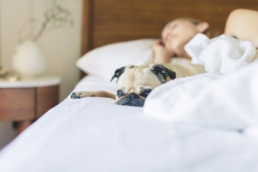 Is your bed causing your back pain?
