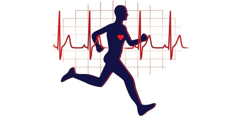 cardio-fit-820×400