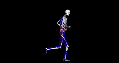 Back Pain for Runners Starts Deep
