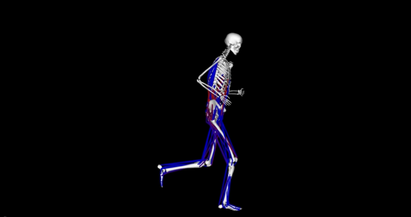 runner